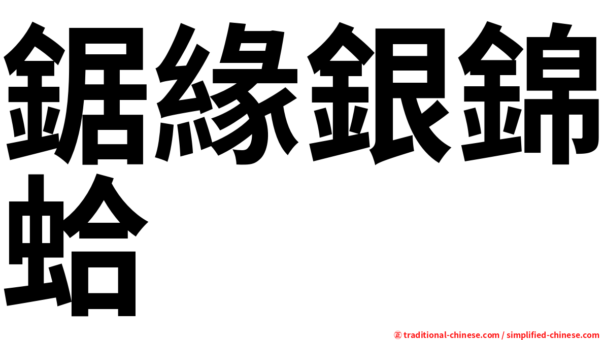 鋸緣銀錦蛤