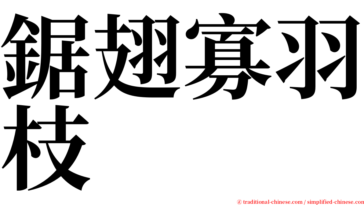 鋸翅寡羽枝 serif font