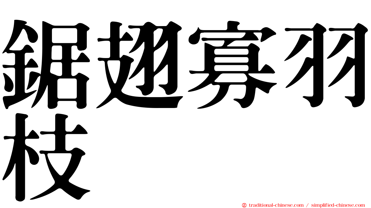 鋸翅寡羽枝