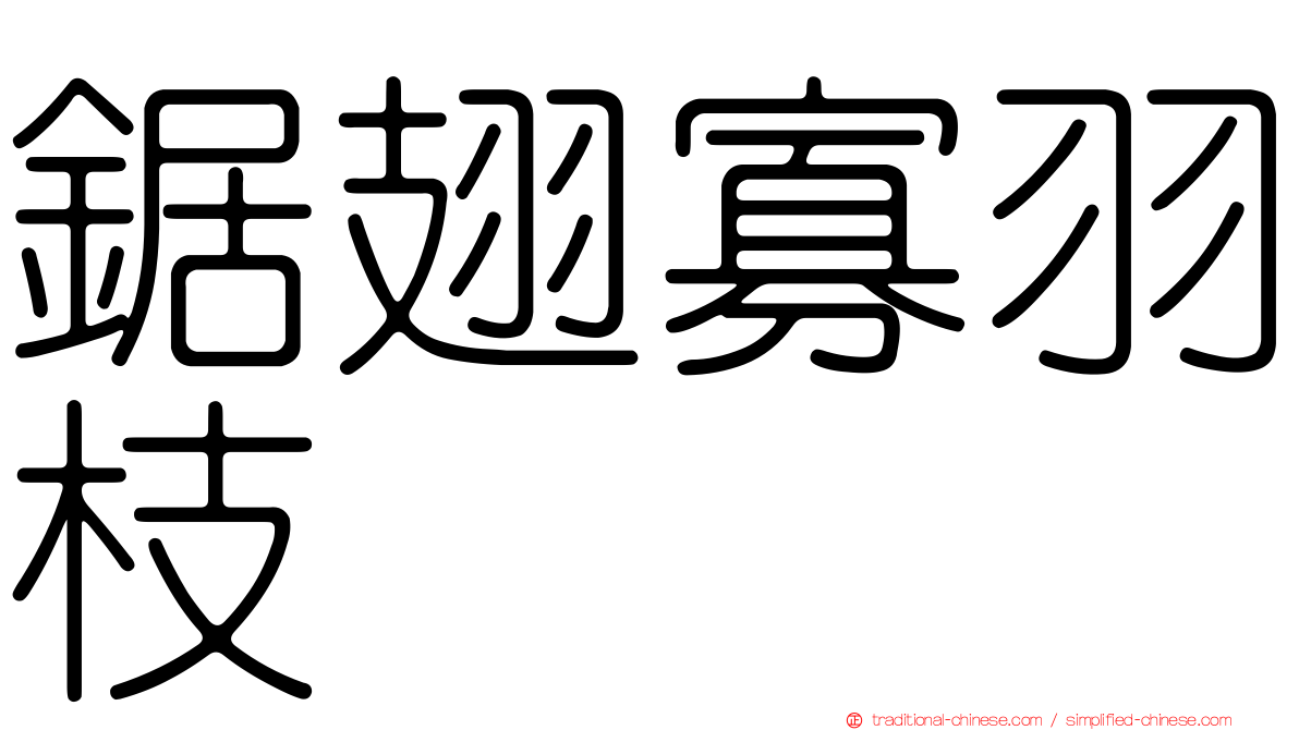 鋸翅寡羽枝