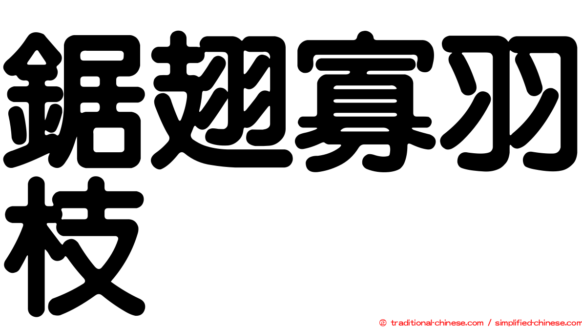 鋸翅寡羽枝