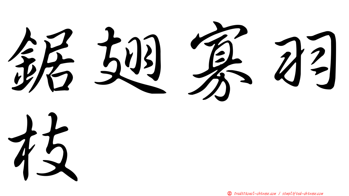 鋸翅寡羽枝