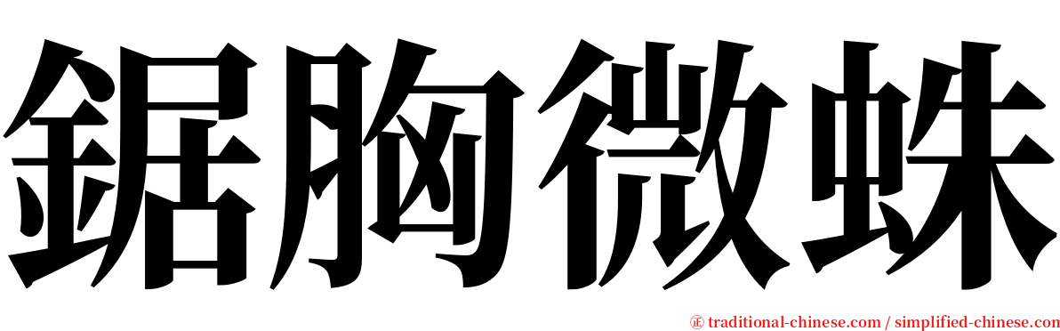 鋸胸微蛛 serif font