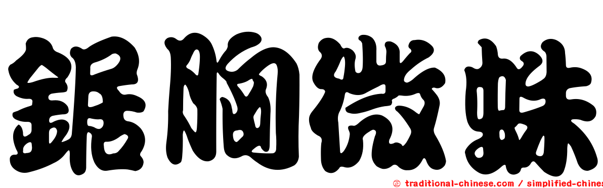 鋸胸微蛛