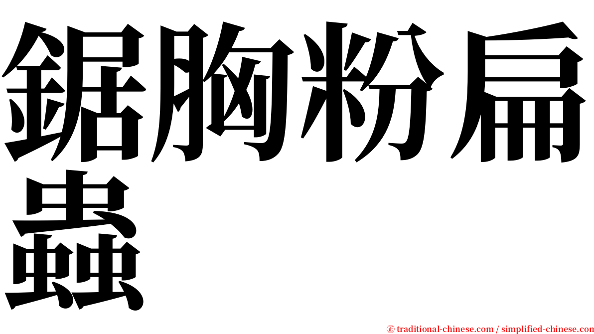 鋸胸粉扁蟲 serif font