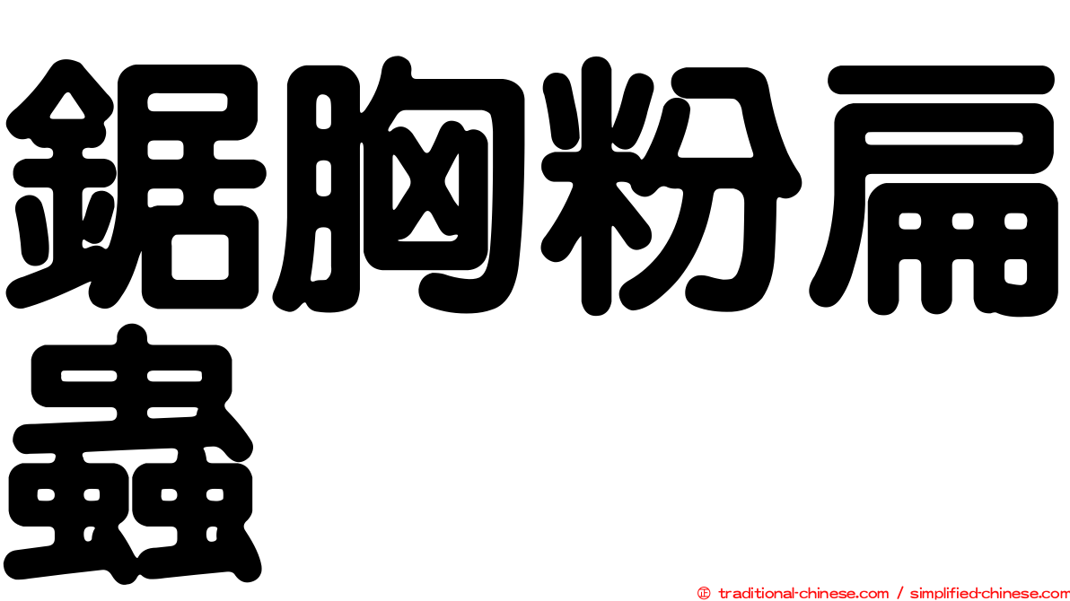 鋸胸粉扁蟲
