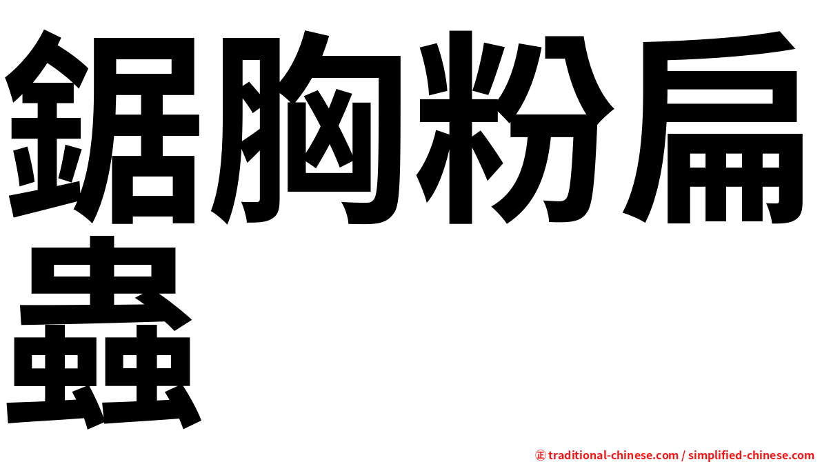 鋸胸粉扁蟲