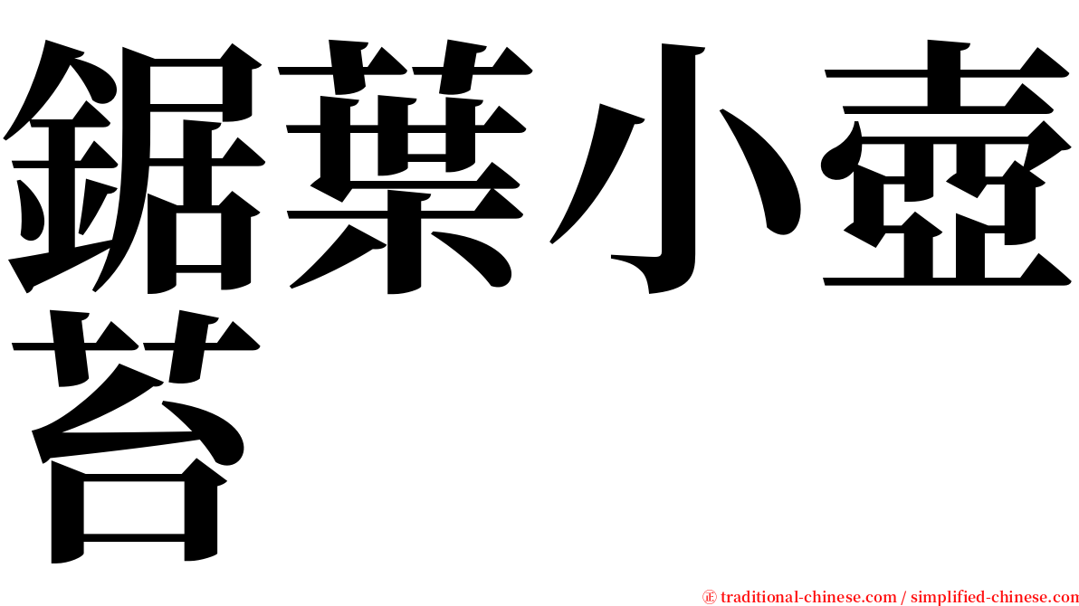 鋸葉小壺苔 serif font