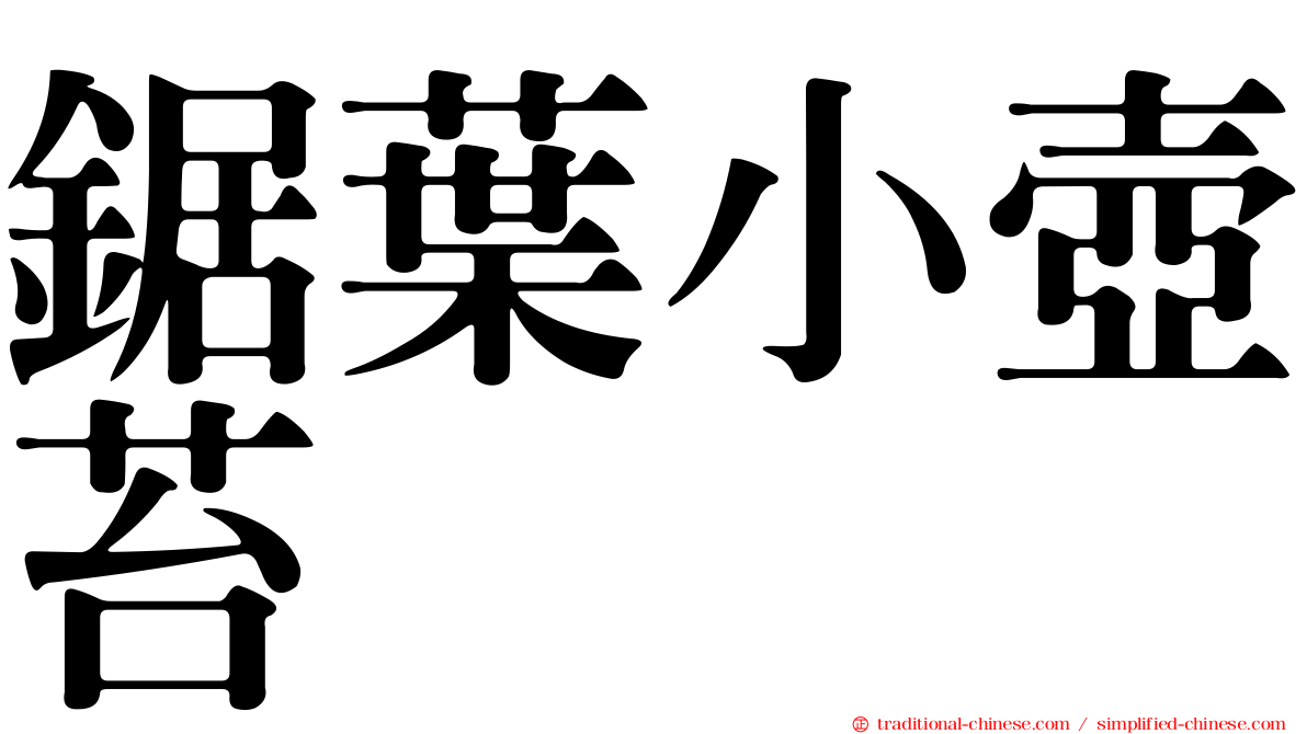 鋸葉小壺苔