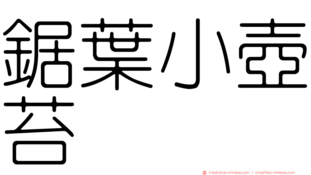 鋸葉小壺苔