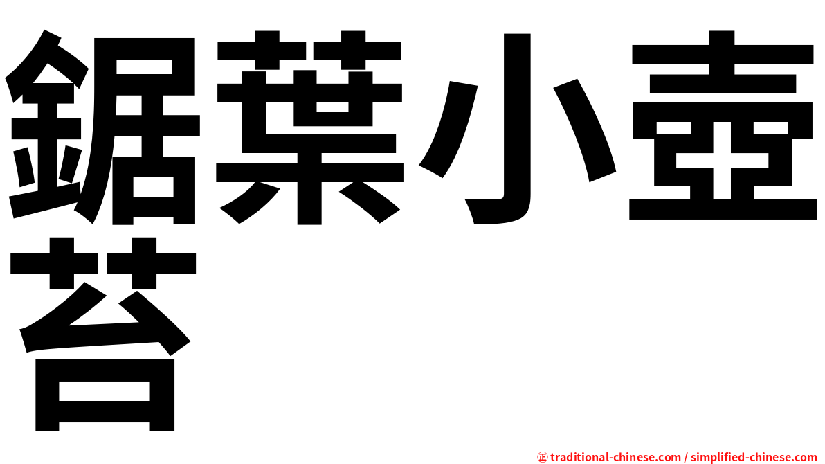 鋸葉小壺苔