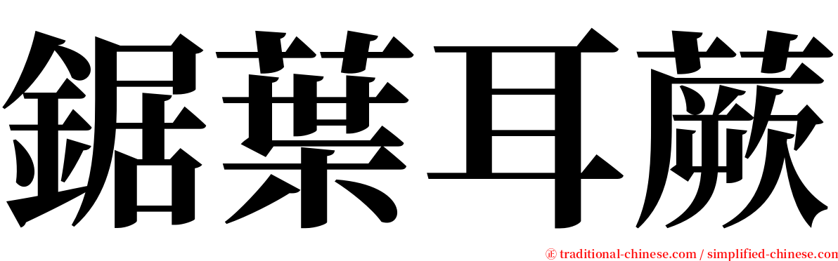 鋸葉耳蕨 serif font