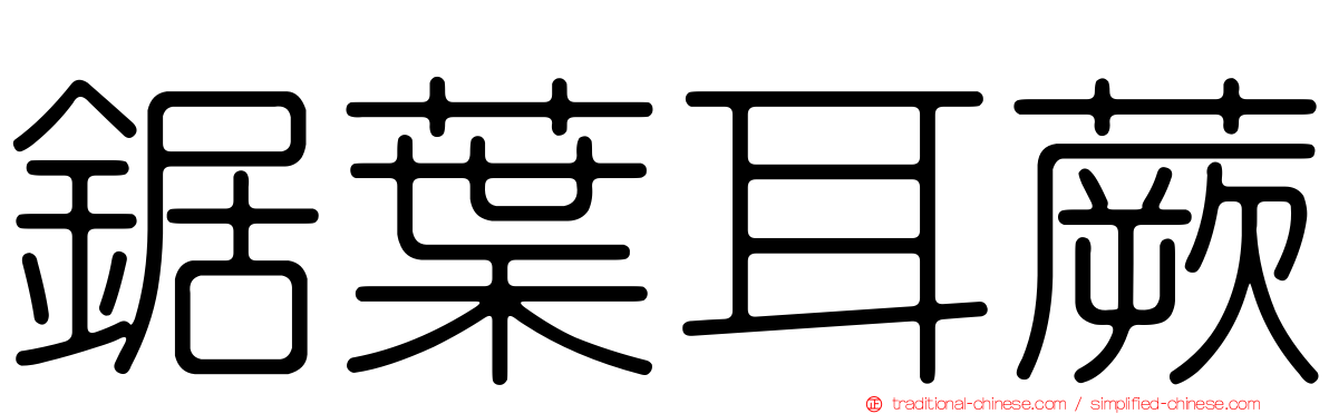 鋸葉耳蕨