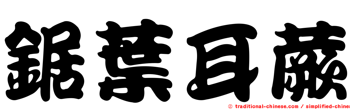 鋸葉耳蕨