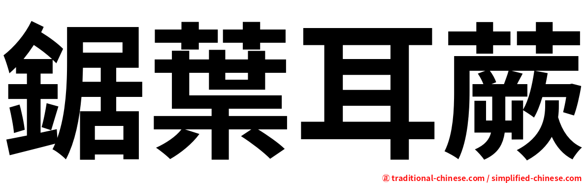 鋸葉耳蕨