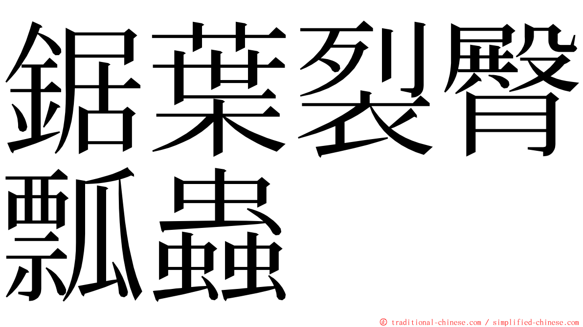 鋸葉裂臀瓢蟲 ming font