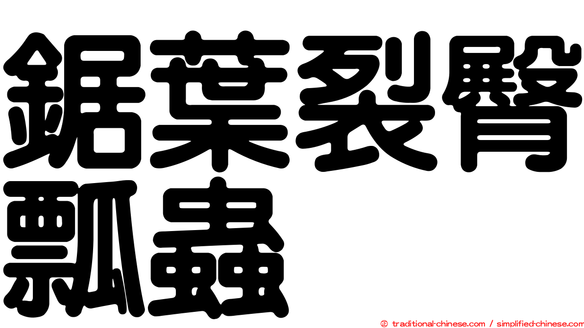鋸葉裂臀瓢蟲