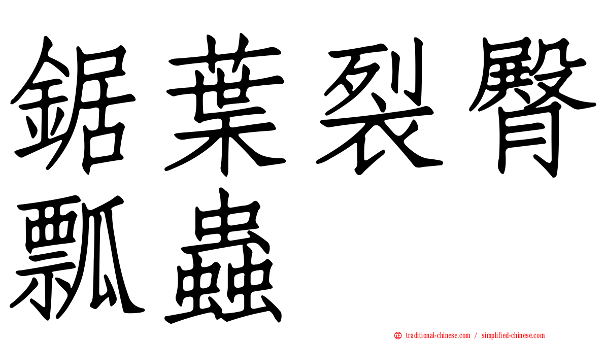 鋸葉裂臀瓢蟲