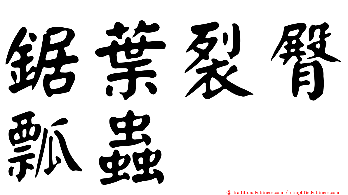 鋸葉裂臀瓢蟲