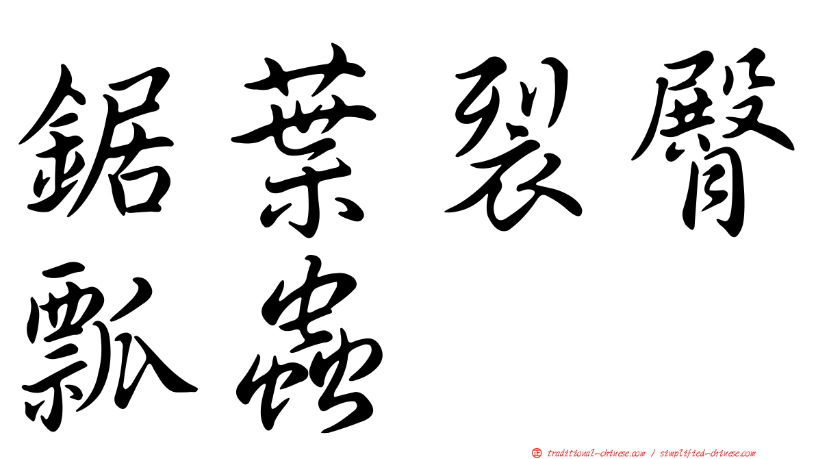 鋸葉裂臀瓢蟲