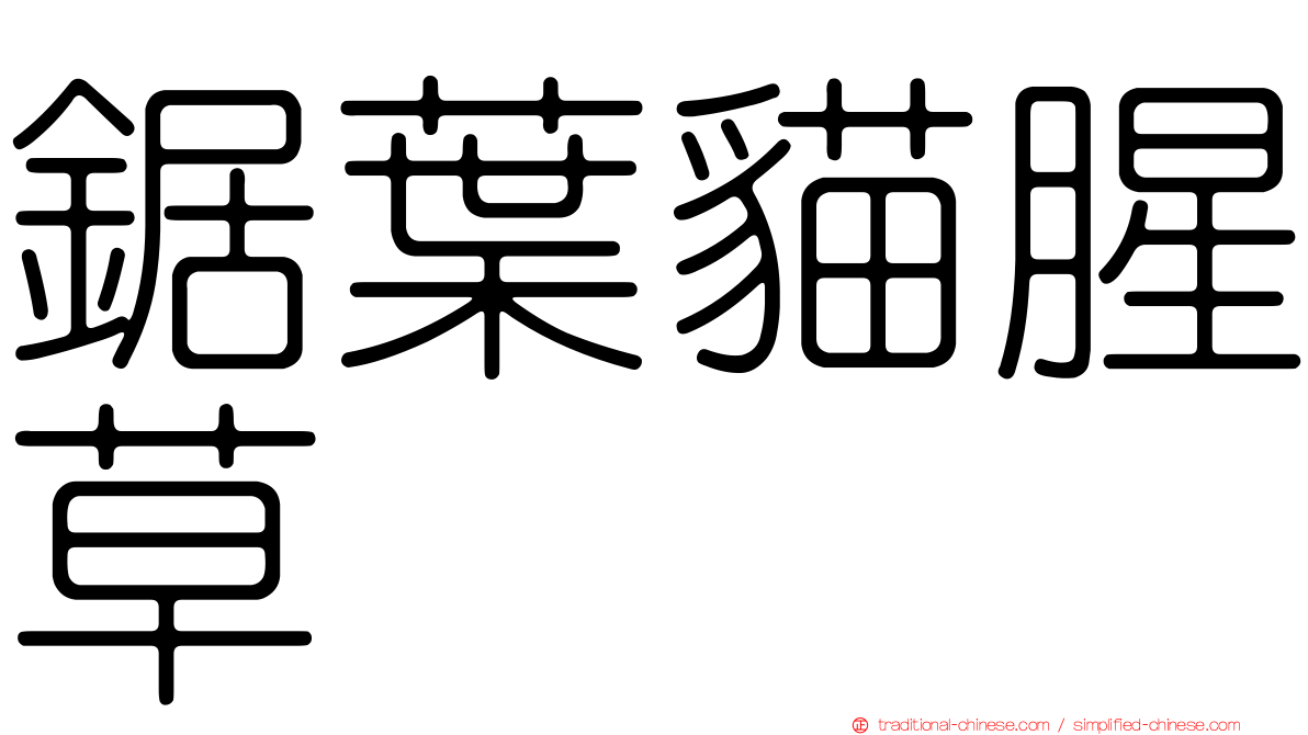 鋸葉貓腥草