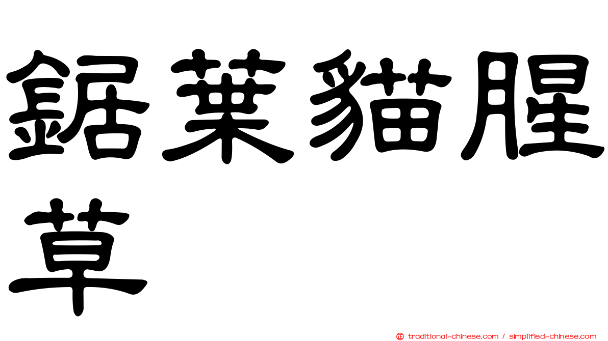 鋸葉貓腥草
