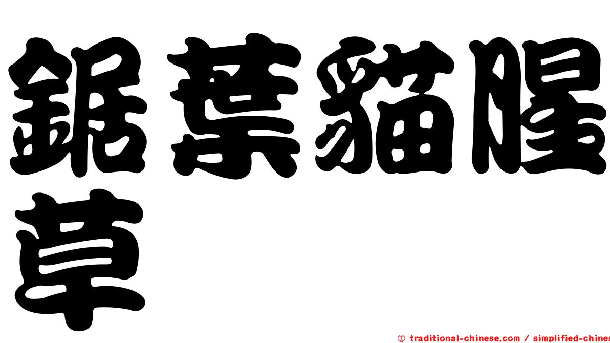 鋸葉貓腥草