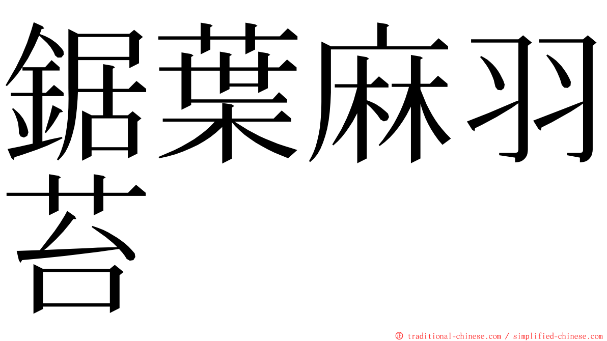 鋸葉麻羽苔 ming font
