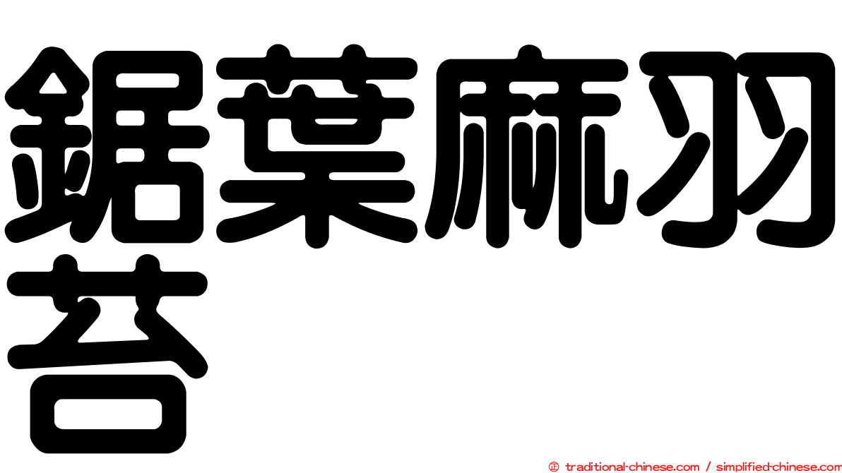 鋸葉麻羽苔