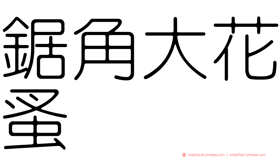 鋸角大花蚤