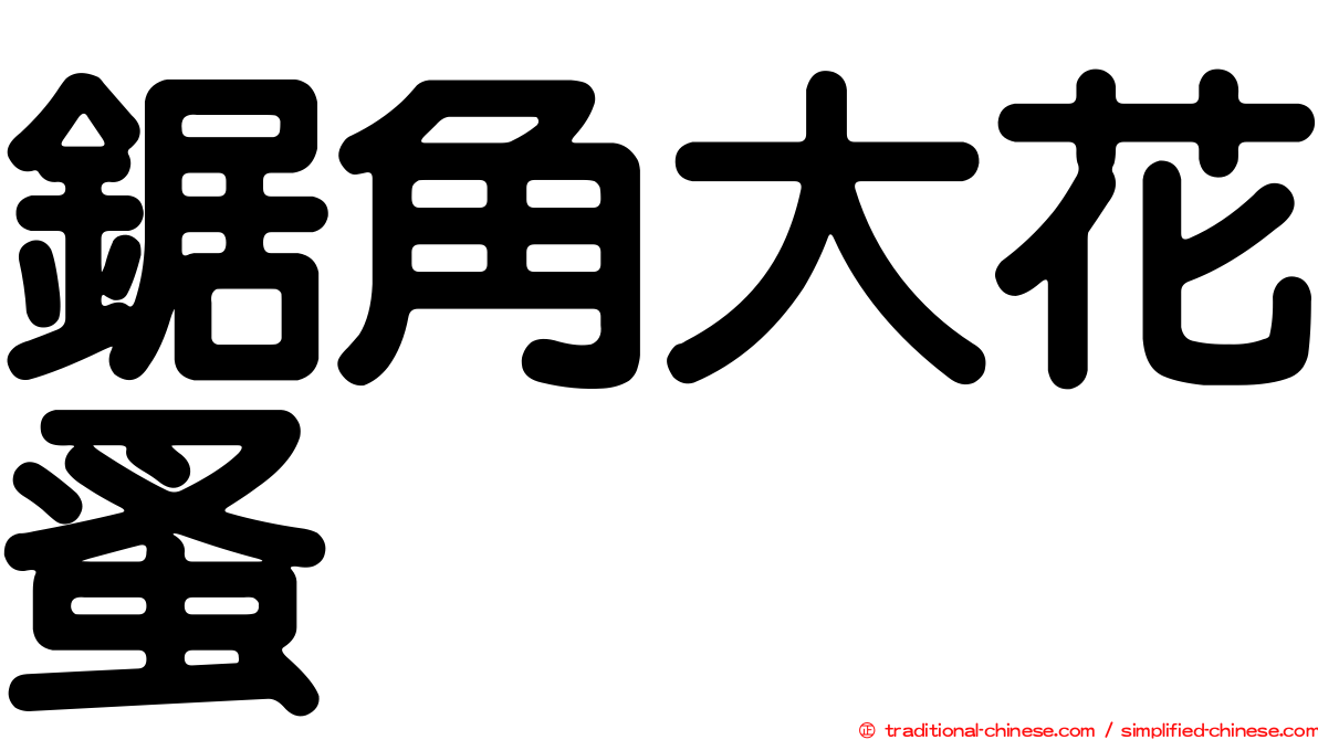 鋸角大花蚤