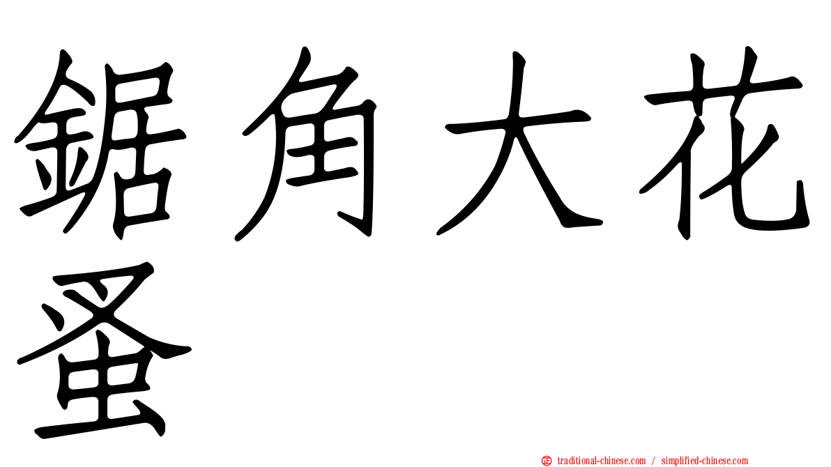 鋸角大花蚤