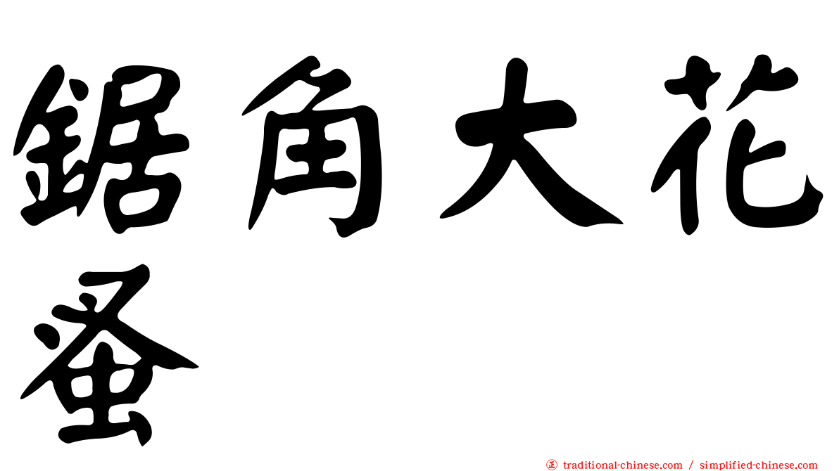鋸角大花蚤