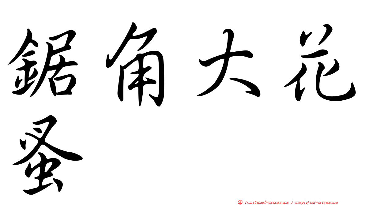鋸角大花蚤