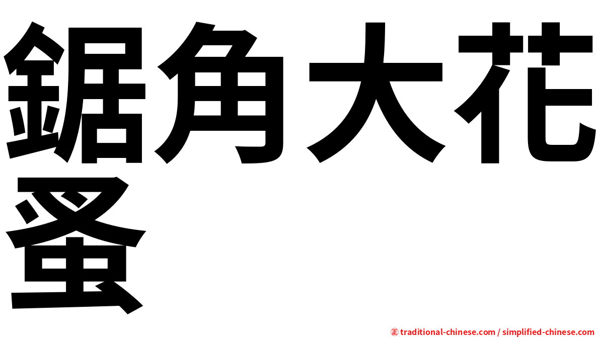 鋸角大花蚤