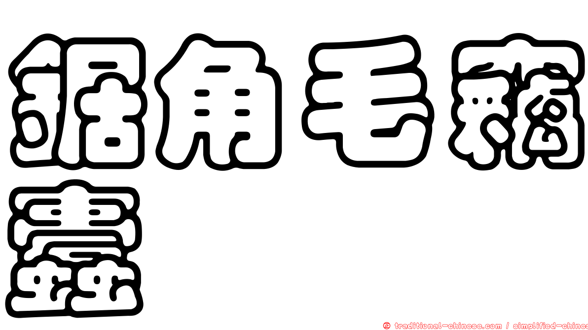 鋸角毛竊蠹