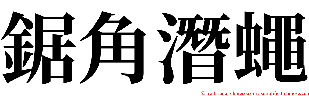 鋸角潛蠅 serif font