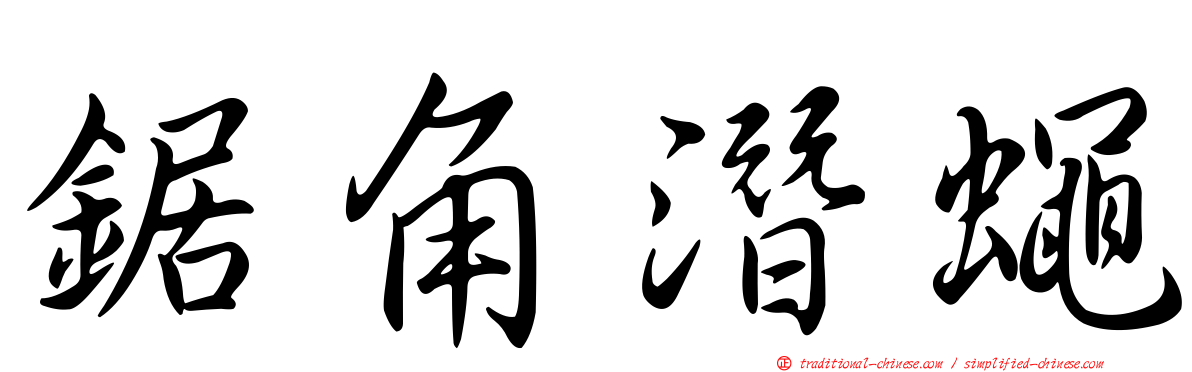 鋸角潛蠅