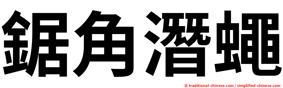 鋸角潛蠅