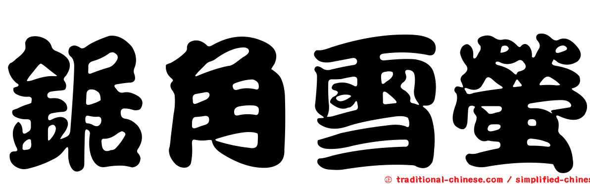 鋸角雪螢