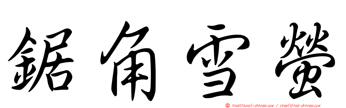 鋸角雪螢