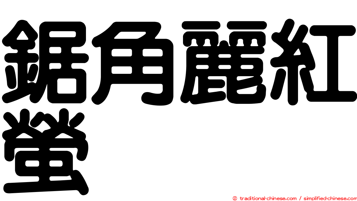 鋸角麗紅螢
