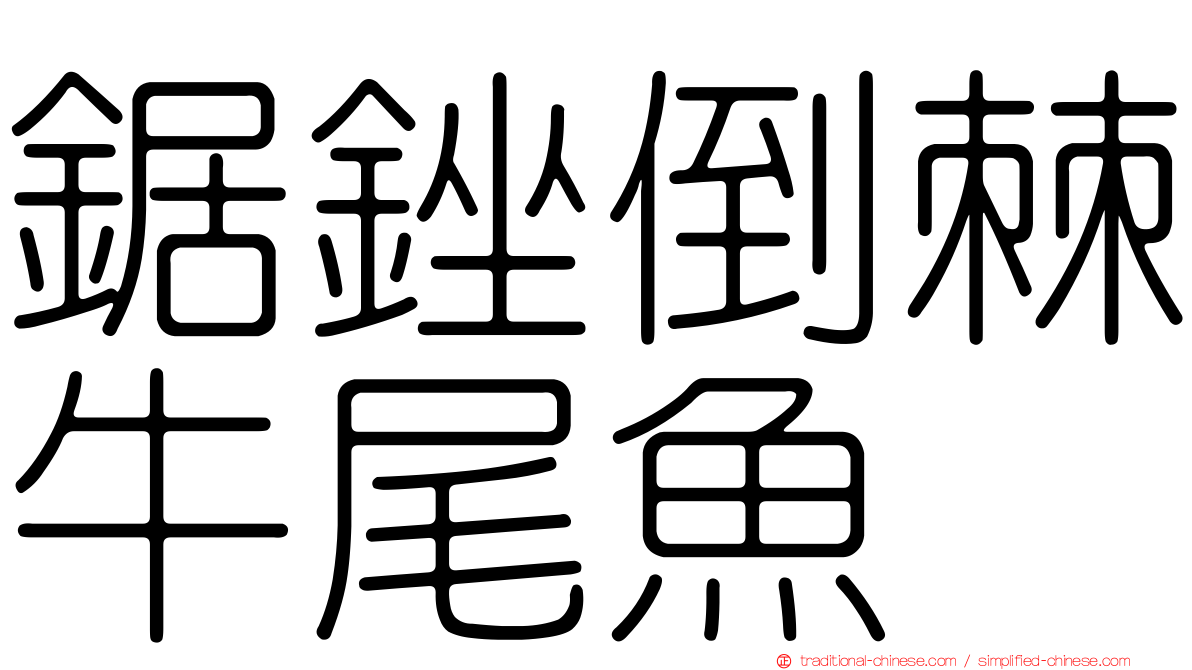 鋸銼倒棘牛尾魚
