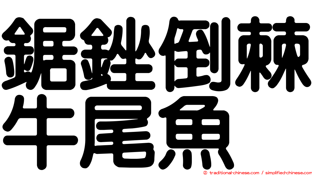 鋸銼倒棘牛尾魚