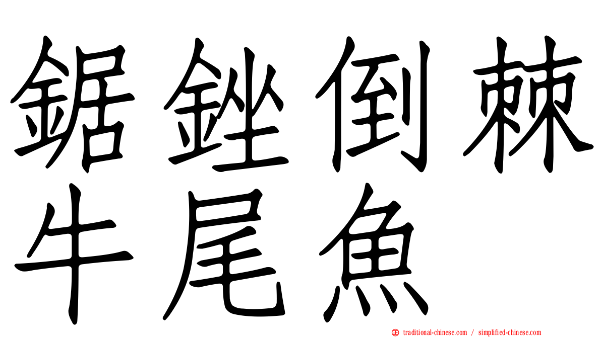 鋸銼倒棘牛尾魚