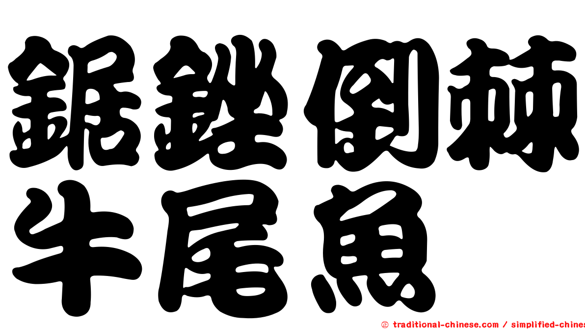 鋸銼倒棘牛尾魚