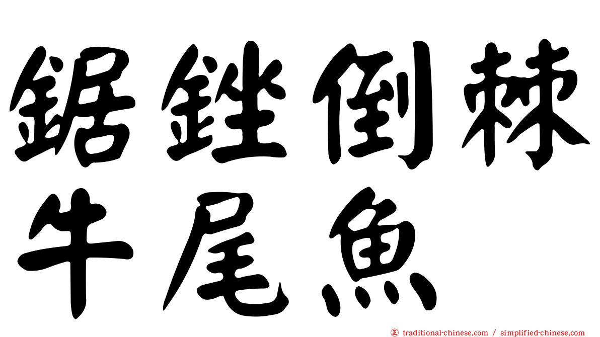 鋸銼倒棘牛尾魚