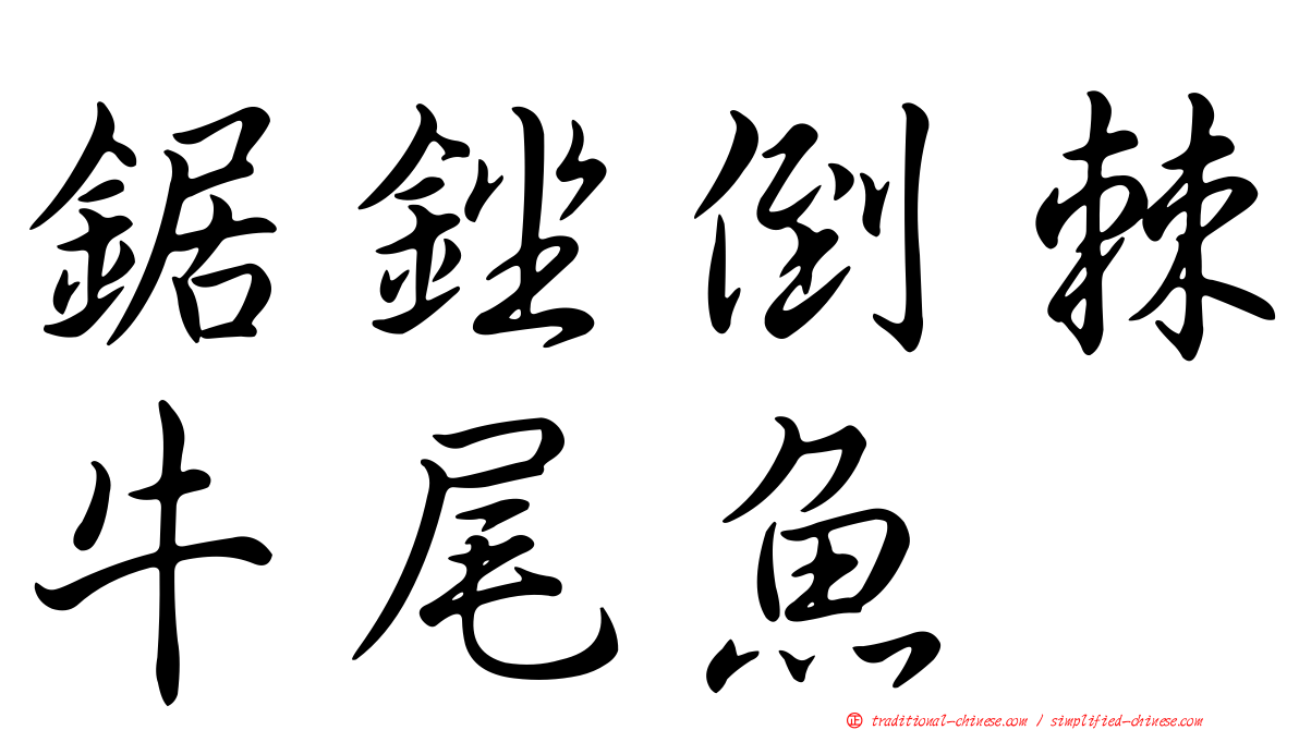 鋸銼倒棘牛尾魚