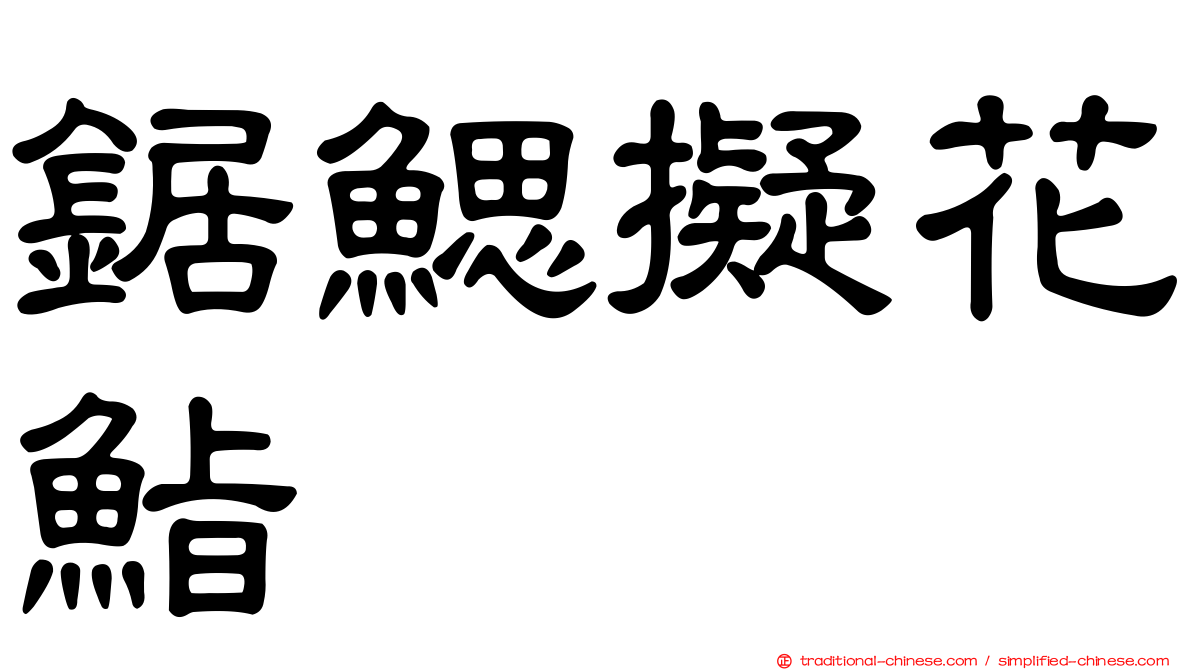 鋸鰓擬花鮨
