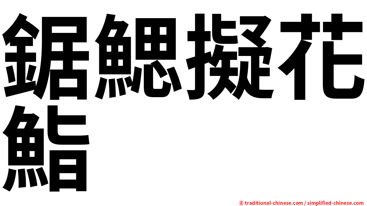 鋸鰓擬花鮨